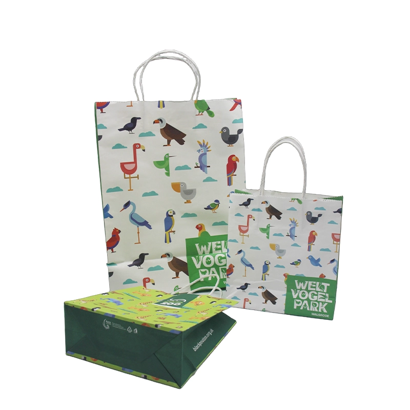 paper bag with twisted handle paper bag with twisted handle