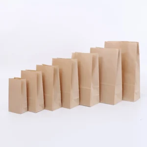 brown paper lunch bags 2 597844.webp