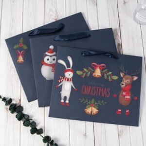 luxury paper bag for party 2 2606764.jpg