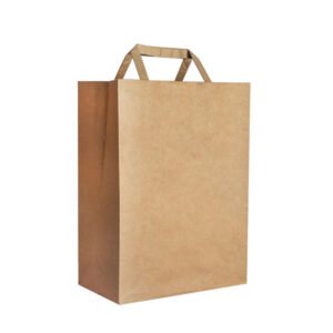 recycled paper bags with twisted handle 2 2291214.jpg