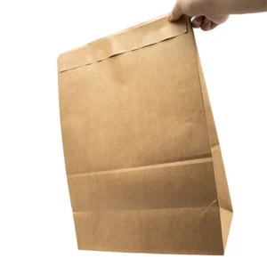 to go paper bags 2 916354.webp