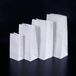 white kraft sos paper bag 2 2924381.jpg