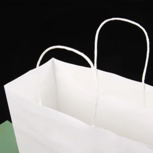 white paper bag 2 7485.webp